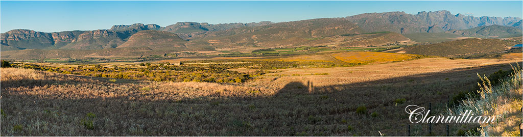 clawilliampano