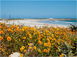 coastal1
