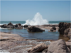 coastal8