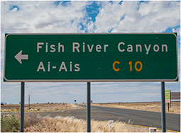 fish4